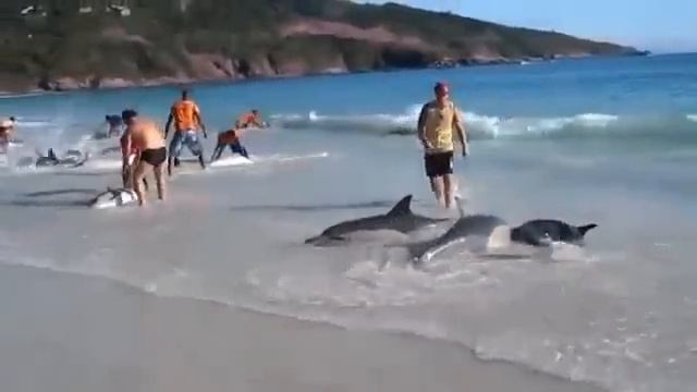 Он просто снимал море и пляж, как вдруг смотреть онлайн
