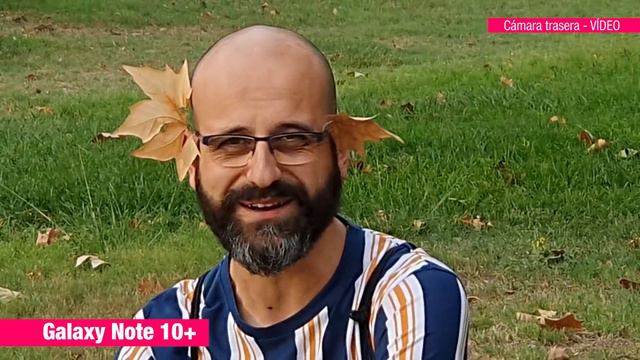 📱 Samsung Galaxy S10+ y Note 10+ - REVIEW GUARDIANA | LGDT смотреть онлайн