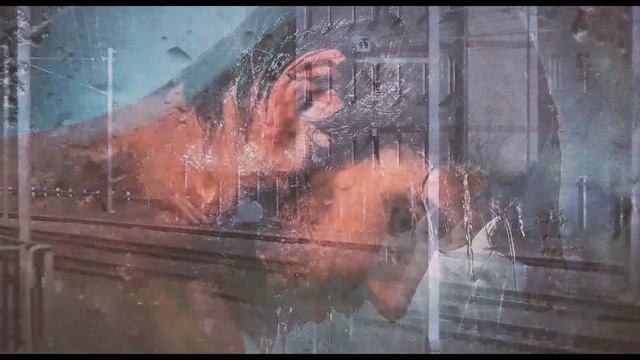 ЖЕНСКАЯ ДУША красивые СТИХИ О ЛЮБВИ, до слез.. АВТОР ВЛАДИМИР СОКОЛОВ смотреть онлайн