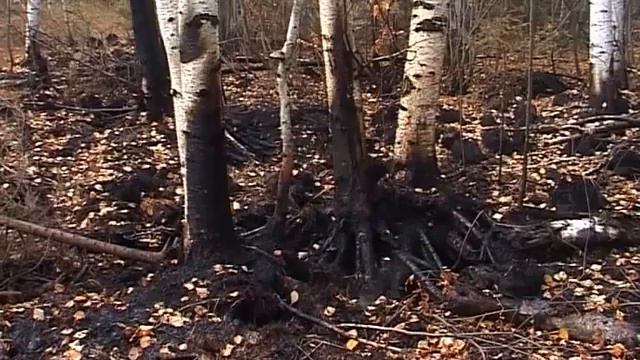 Пожар около села Акинфиево смотреть онлайн