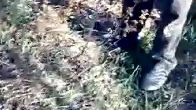 Как работает ТАЙФУН от СОРНЯКОВ! смотреть онлайн