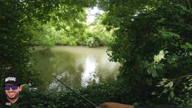 CHUB FISHING with lures on a small river | River fishing for chub смотреть онлайн