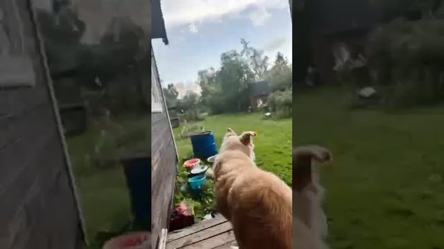 просто лето 2024 .mp4