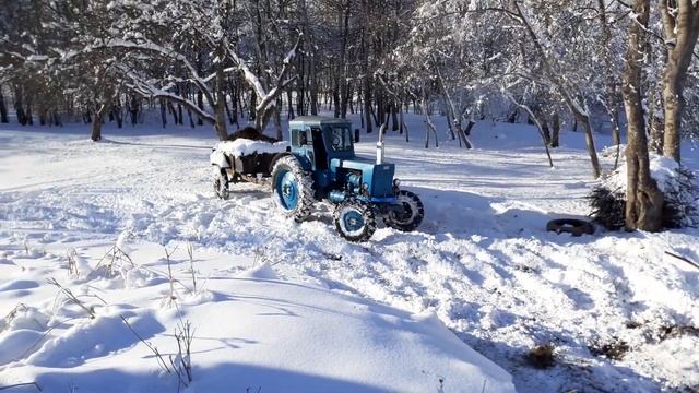 Зима,снег!Т-40 с груженным прицепом!Трактор буксует на подъеме! смотреть онлайн