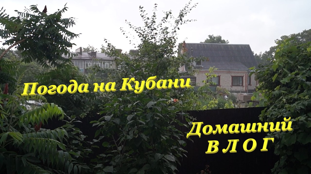 Погода на Кубани⛈ / Наш волнистый попугай-болтун? / Занимаемся на каникулах? / Домашний ВЛОГ смотреть онлайн