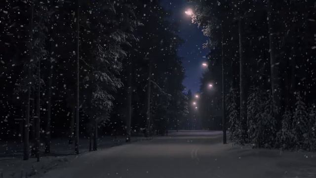 Snowstorm in the winter forest. Метель в зимнем лесу 4ч. sound for sleep смотреть онлайн