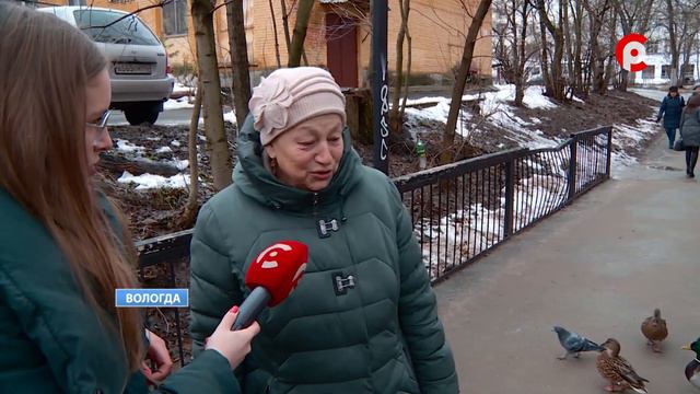 В Вологде подсчитали количество крякв смотреть онлайн