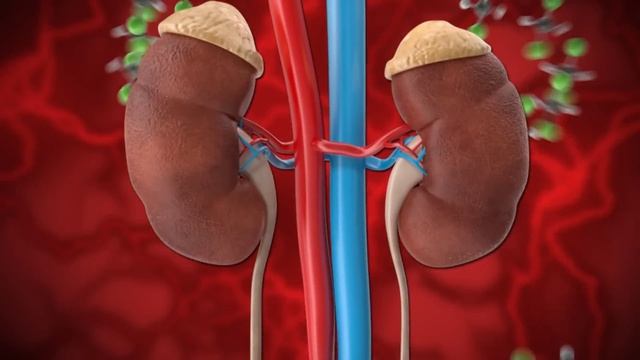 Как есть в 2 раза Меньше и быть Счастливым смотреть онлайн