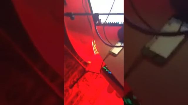 Развратная сестренка Владислава Павлова смотреть онлайн