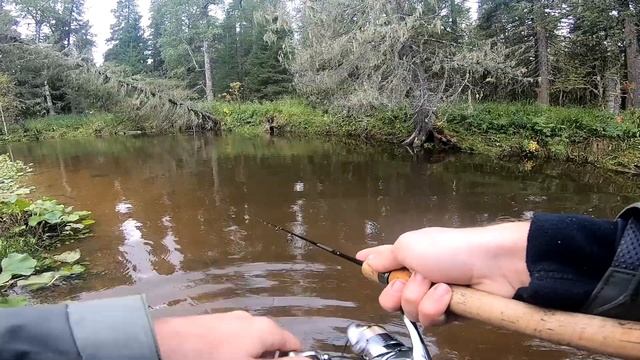 Забытые реки #9 С девушкой за дальний кордон смотреть онлайн