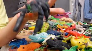 Игрушки Лягушки Макси и Ко, Гекконы, Насекомые, Лизуны, и другие резиновые игрушки