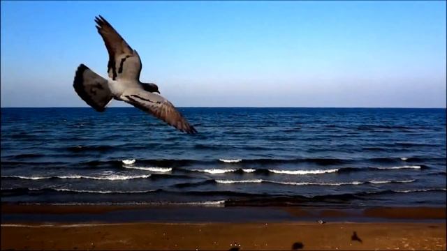Турция прогулка по набережной Черного моря Turkey Black Sea смотреть онлайн