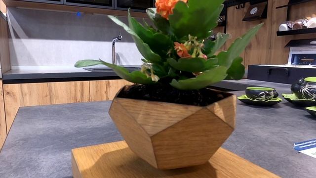 парящий цветок, левитация смотреть онлайн