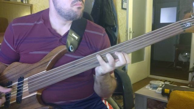 Jaco Pastorius - Portrait of Tracy (fretless bass cover) смотреть онлайн