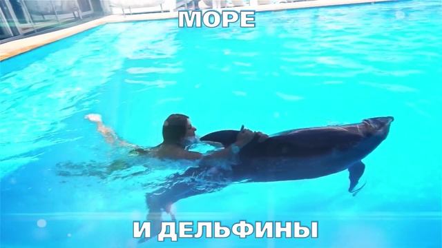 Пляжный комплекс NEMO Beach Club смотреть онлайн
