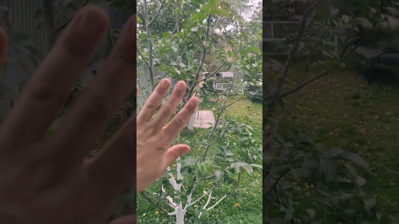 МЯГКИЕ ОКНА ИЗНУТРИ смотреть онлайн