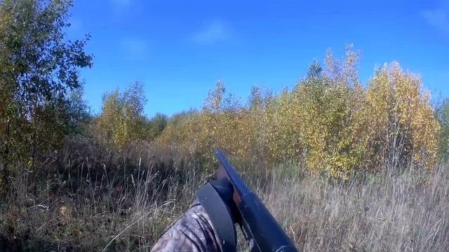 Первый вальдшнеп осень 22 смотреть онлайн