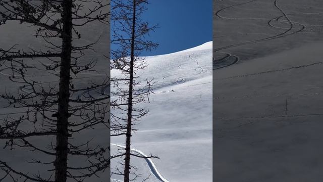 Сноубайк Норильск | Vortex Snowbike | Yamaha WR450 Snowbike