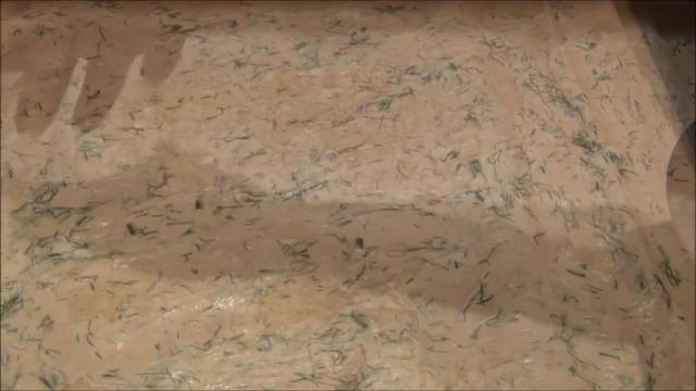 Салаты с Моцареллой