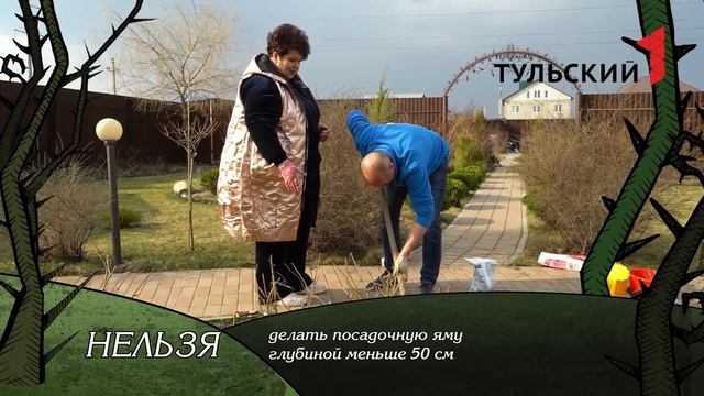 сажаем дюк, красим гортензию, обрезаем розы смотреть онлайн