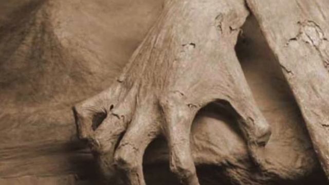 MISTERI: LE PIU' INQUIETANTI MORTI APPARENTI смотреть онлайн