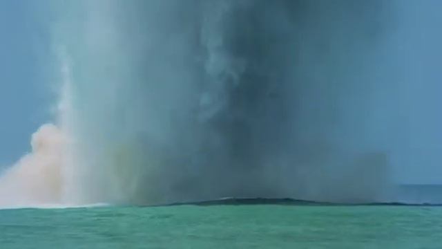 "День дельфина" Майк Николс (Чёрт!) смотреть онлайн