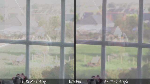 Canon EOS R Vs Sony A7 III - 4K Video Comparison