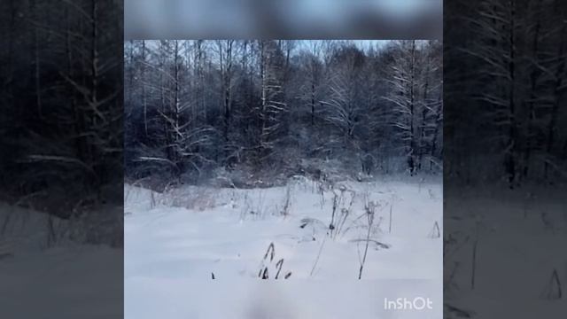 Не смотри на Людей, смотри прямо на Иисуса смотреть онлайн