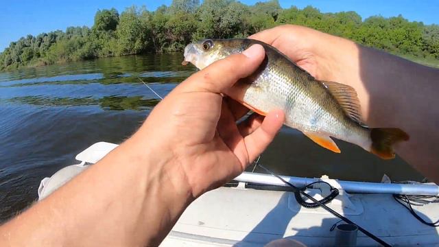 Окрытие лодочного сезона 2022 года на Оке смотреть онлайн