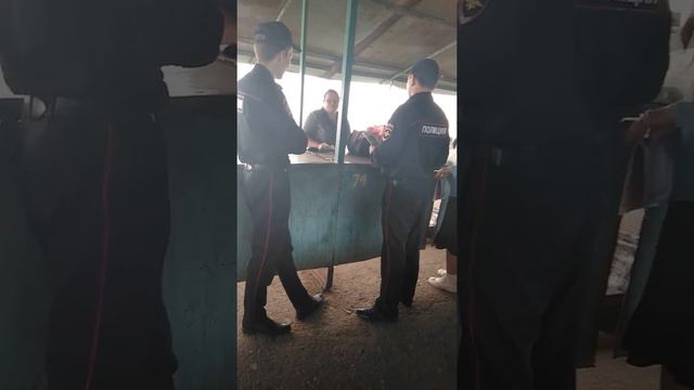 Поганые при погоНАХ или о том какая у нас свобода! смотреть онлайн