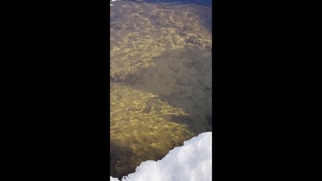 Нашел мотор! подводная охота. смотреть онлайн