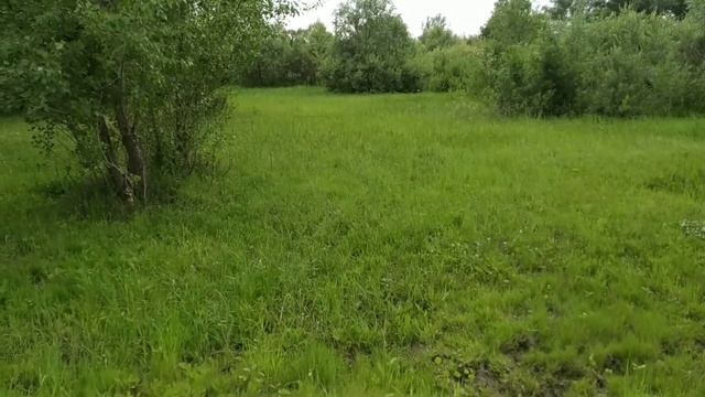 Поездка за город Разговор с местными Павлодар Казахстан смотреть онлайн