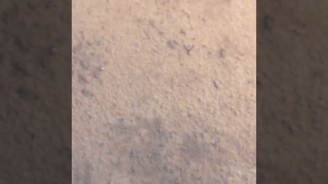 Шлифовка Бетона смотреть онлайн