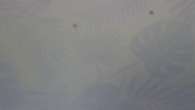 Детские обои.Комнату малыша хочется сделать милой? Выбирайте обои из этого каталога и все получится смотреть онлайн