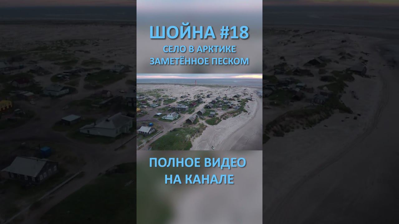 ШОЙНА SHOYNA 18 SHORTS #SHORTS смотреть онлайн