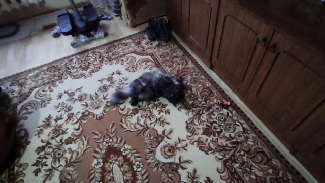 Даша спит. Где голова - сразу не поймёшь смотреть онлайн
