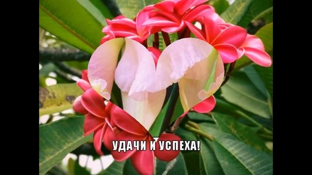 Первомай. Красивое поздравление с праздником! смотреть онлайн