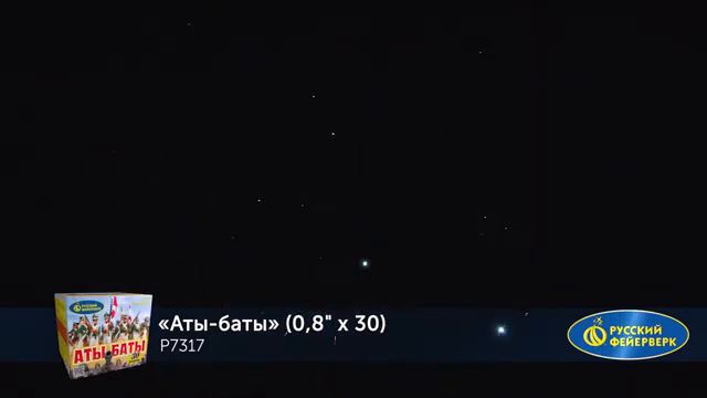 р7317
