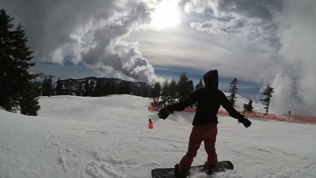 Mountain Mimosa Mondaze