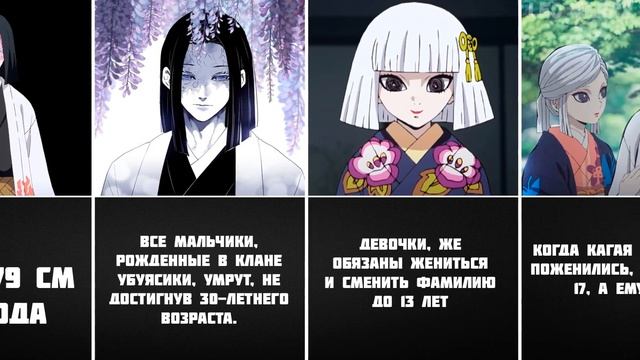 15 Интересных фактов Кагая Убуяшики смотреть онлайн