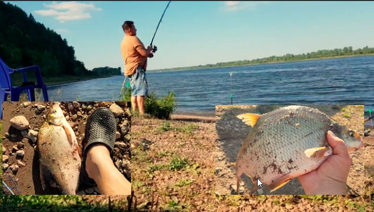 ФИДЕР или ДОНКА? Устроил " маленькое соревнование" смотреть онлайн