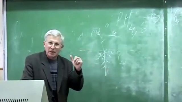 Медонос донник - Пермакультура - Земледелие смотреть онлайн