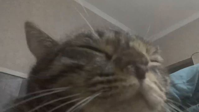 4 декабря 2023 г. смотреть онлайн