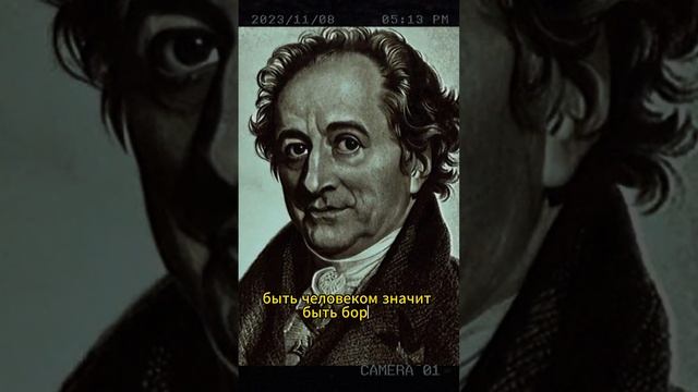 Цитаты Высказывания Иоганн Гёте #шорт #шортс #мудрыеслова смотреть онлайн