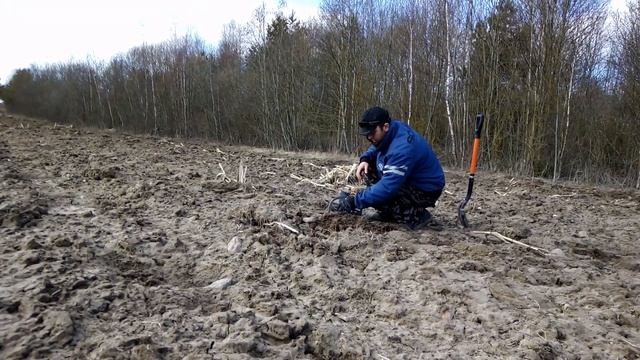 НЕОЖИДАННЫЕ НАХОДКИ МЕТАЛЛОИСКАТЕЛЕМ НА РАСПАХАННОМ ПОЛЕ! КОП СТАРИННЫХ МОНЕТ | Коп 2022 в Беларуси смотреть онлайн