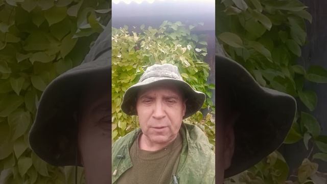 Что это за штука? И кого она может приманить? смотреть онлайн