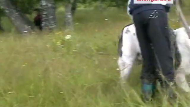 Общий тест Симаргл Чак, часть 1 смотреть онлайн