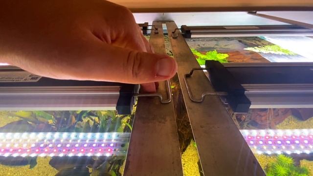 Nur 4 Scaping-Light Biotop Plus LEDs / LED Tausch am 1400 Liter Aquarium смотреть онлайн