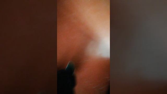 У нас в школе бешеная девочка есть которой зовут таисией смотреть онлайн