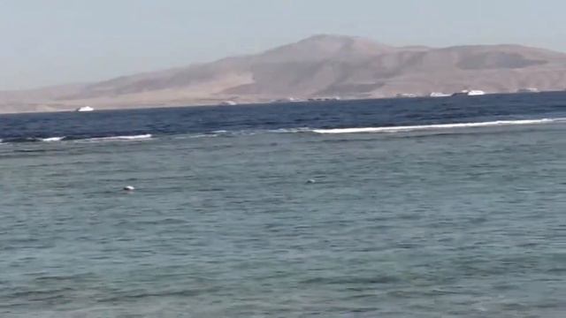 Фрагменты из видео it`s my life. смотреть онлайн